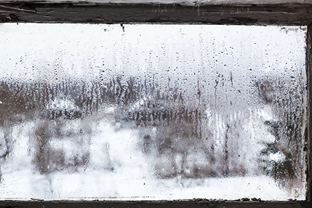 Defogging Double Pane Windows in Fort Myers, FL